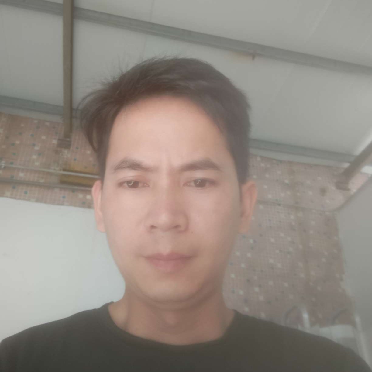 小鸭子与拉长的照片