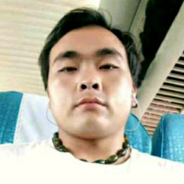傻傻蹁跹钢铁侠的照片
