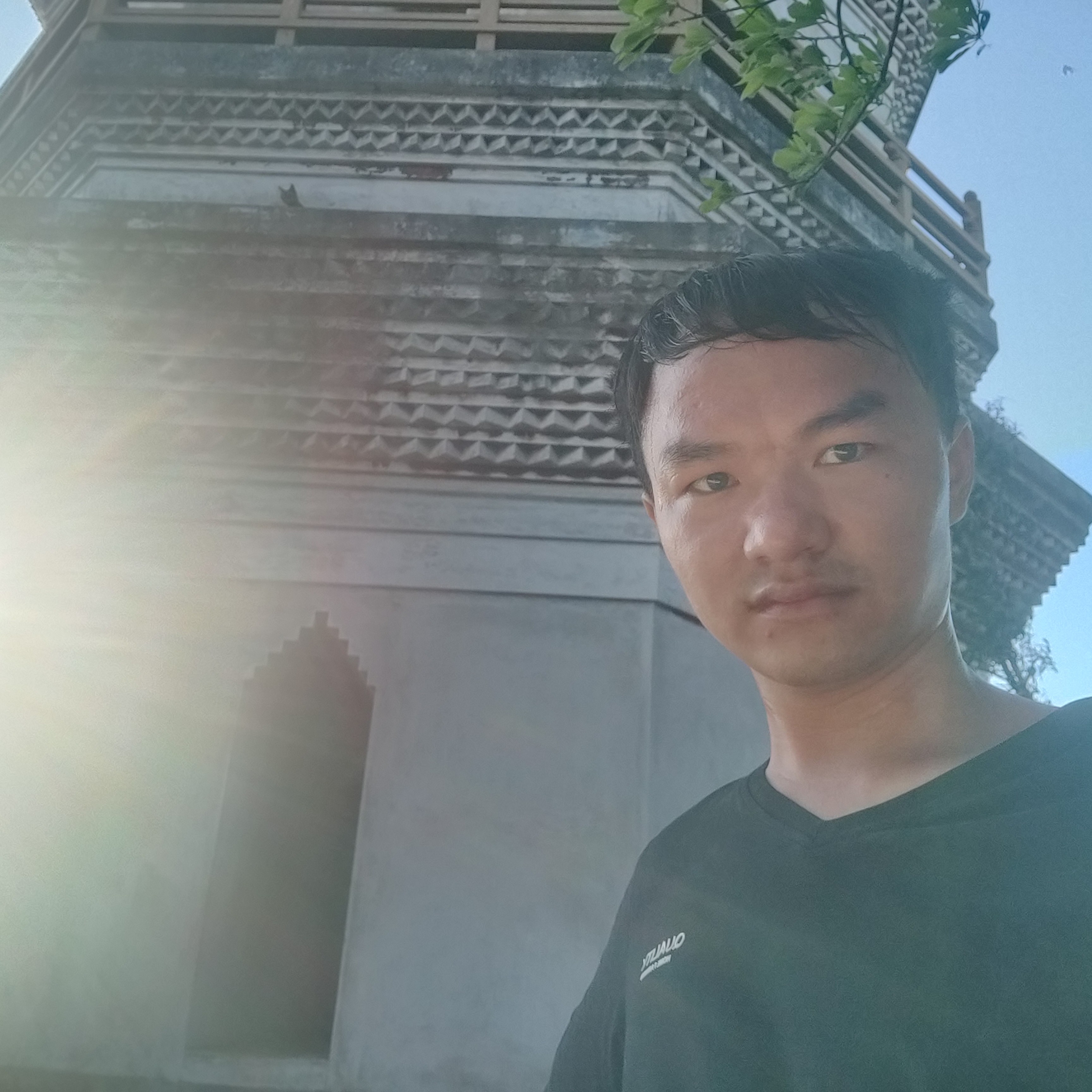 时光麋鹿的照片