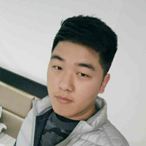 好吃鲍鱼的猫的照片