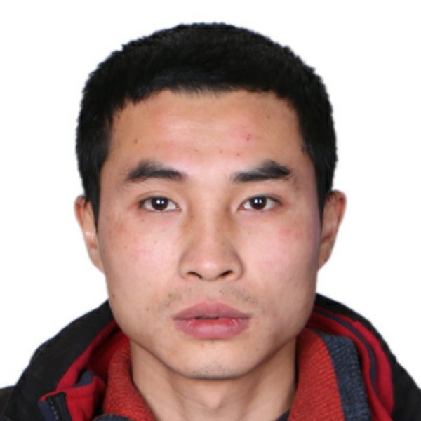 金金金金金金，的照片