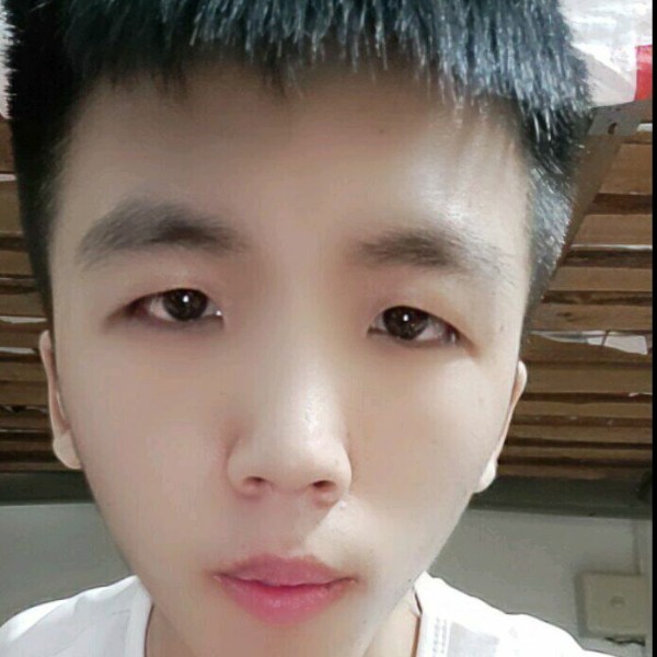 铅笔闻深情的照片