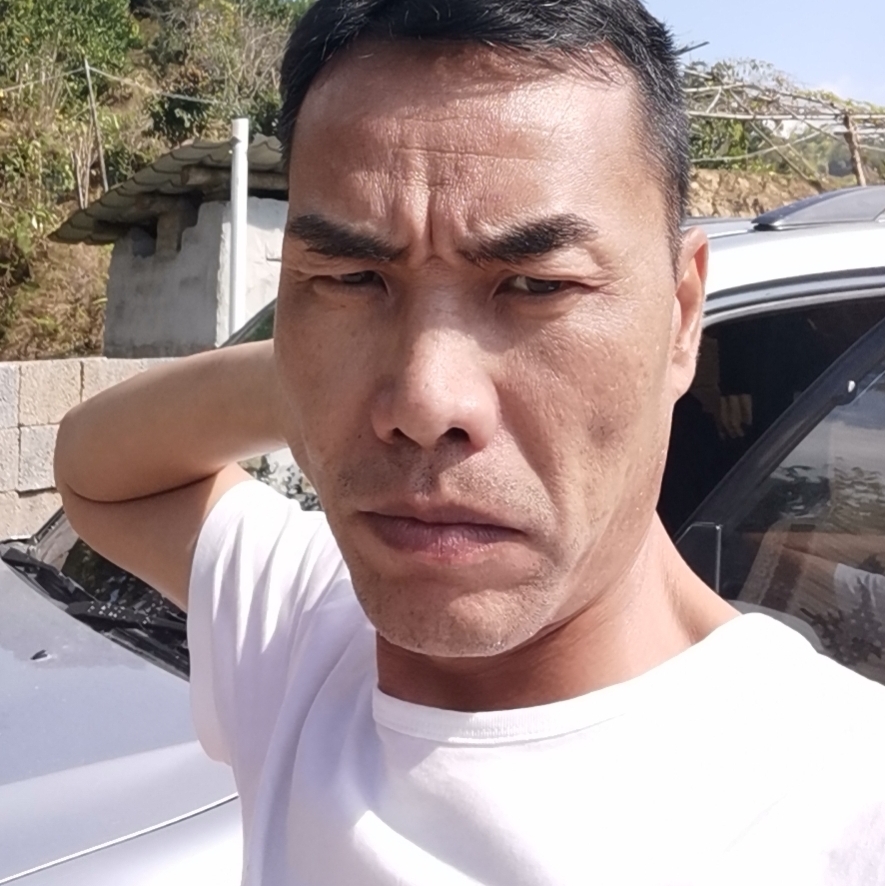 豆芽向听话的照片