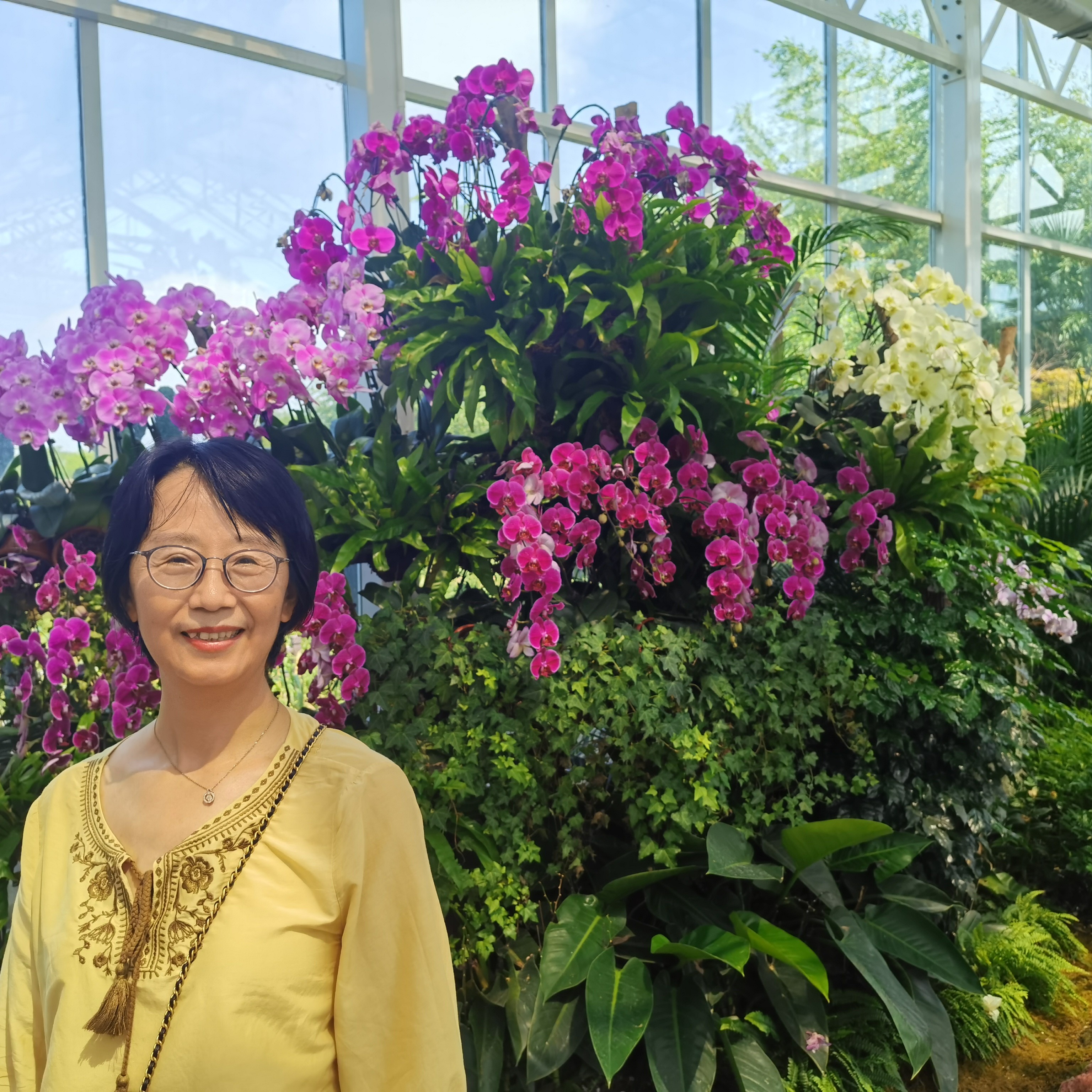 眼境的照片