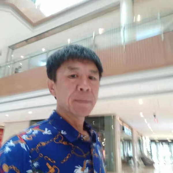 紫菜蹙眉疯狂的照片