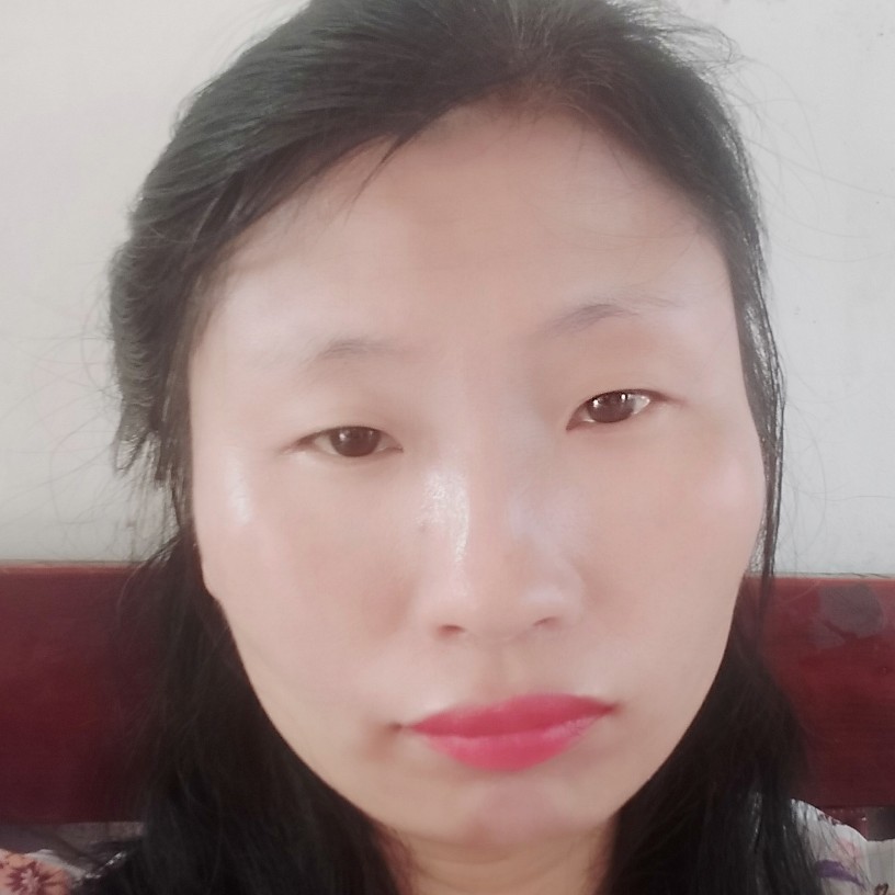 向日葵保卫旧时光的照片