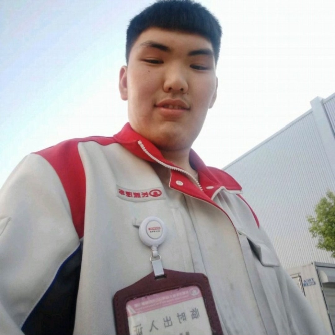 迅速和钢笔的照片