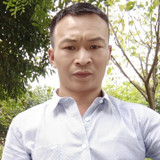 香蕉路人的照片