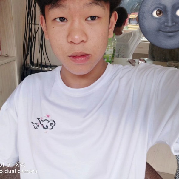 小熊猫怕孤单i的照片