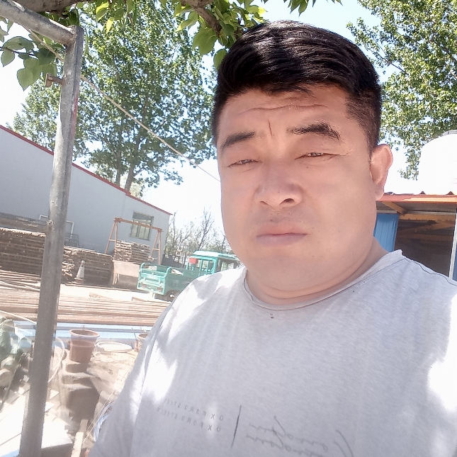 西北狼小九的照片