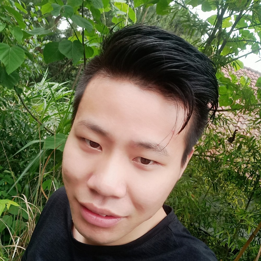 犹豫的泰迪熊的照片