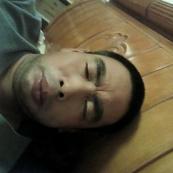 迷茫蹁跹黑夜的照片