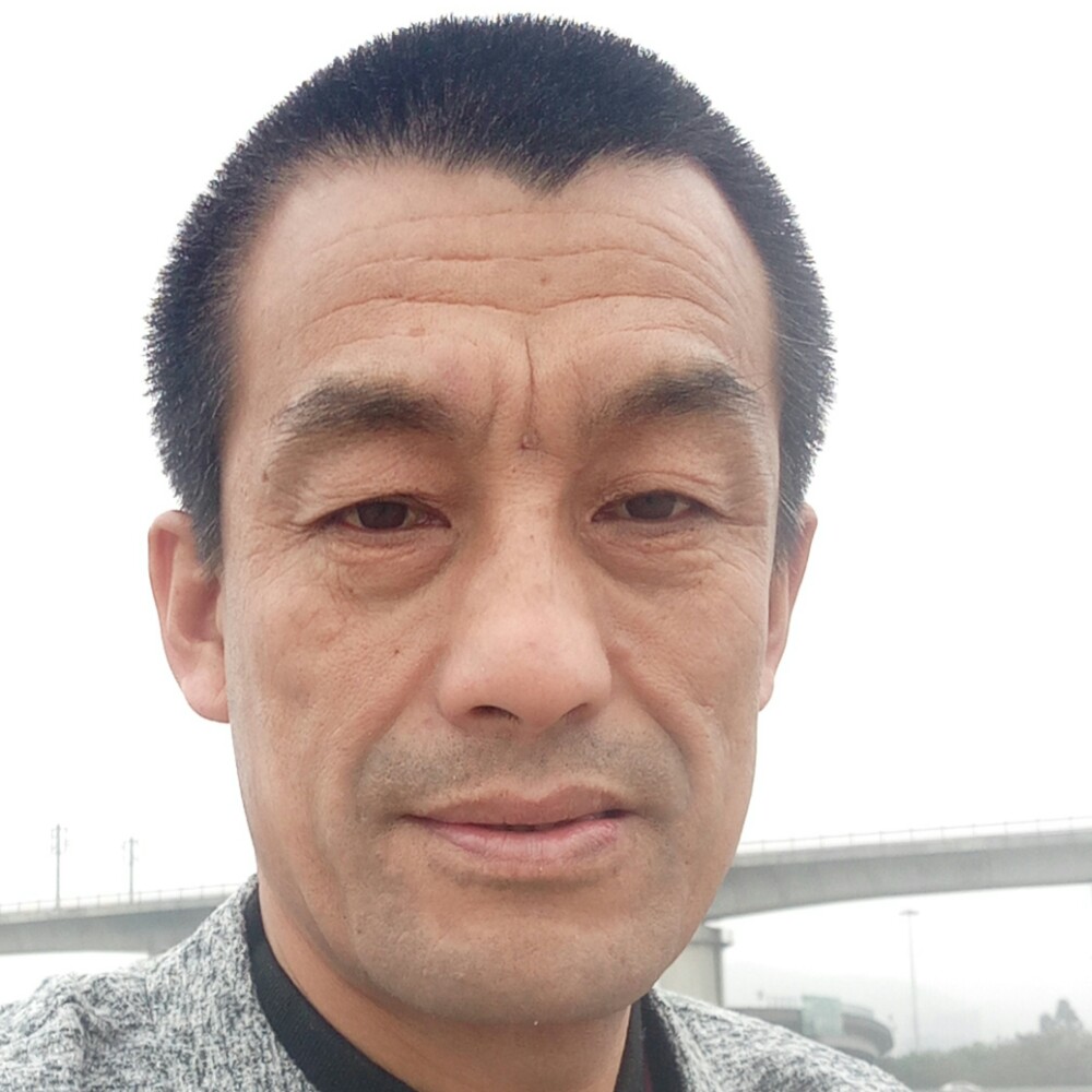 鸭子凝眸酷炫的照片