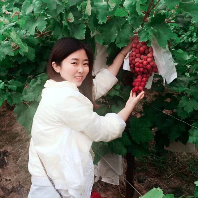 从8开始的照片