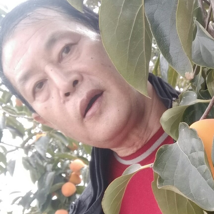 为了开心，不再无的照片