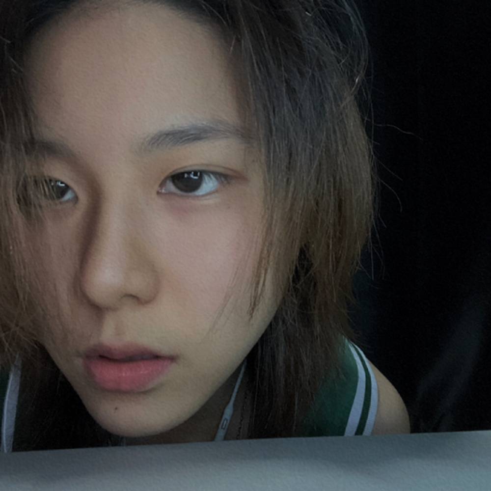 复杂邂逅狗的照片