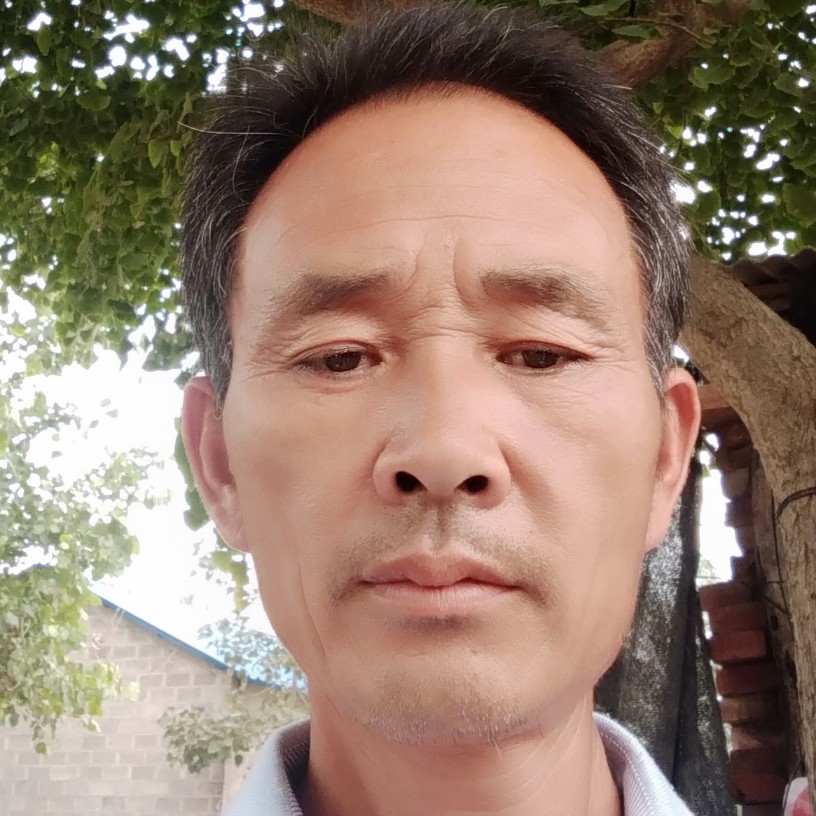 孤独一人闯世界的照片