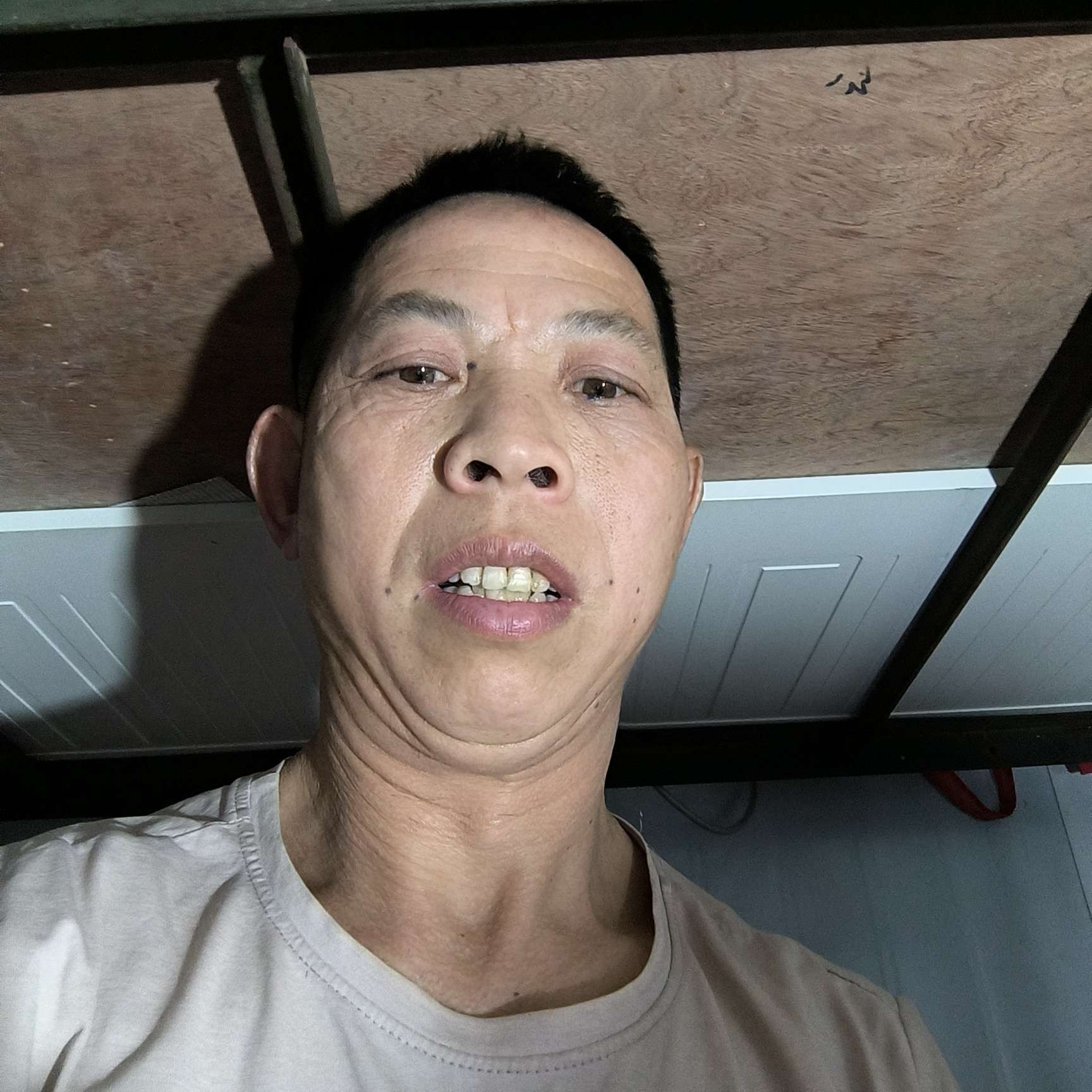小鸽子漫步感性的照片