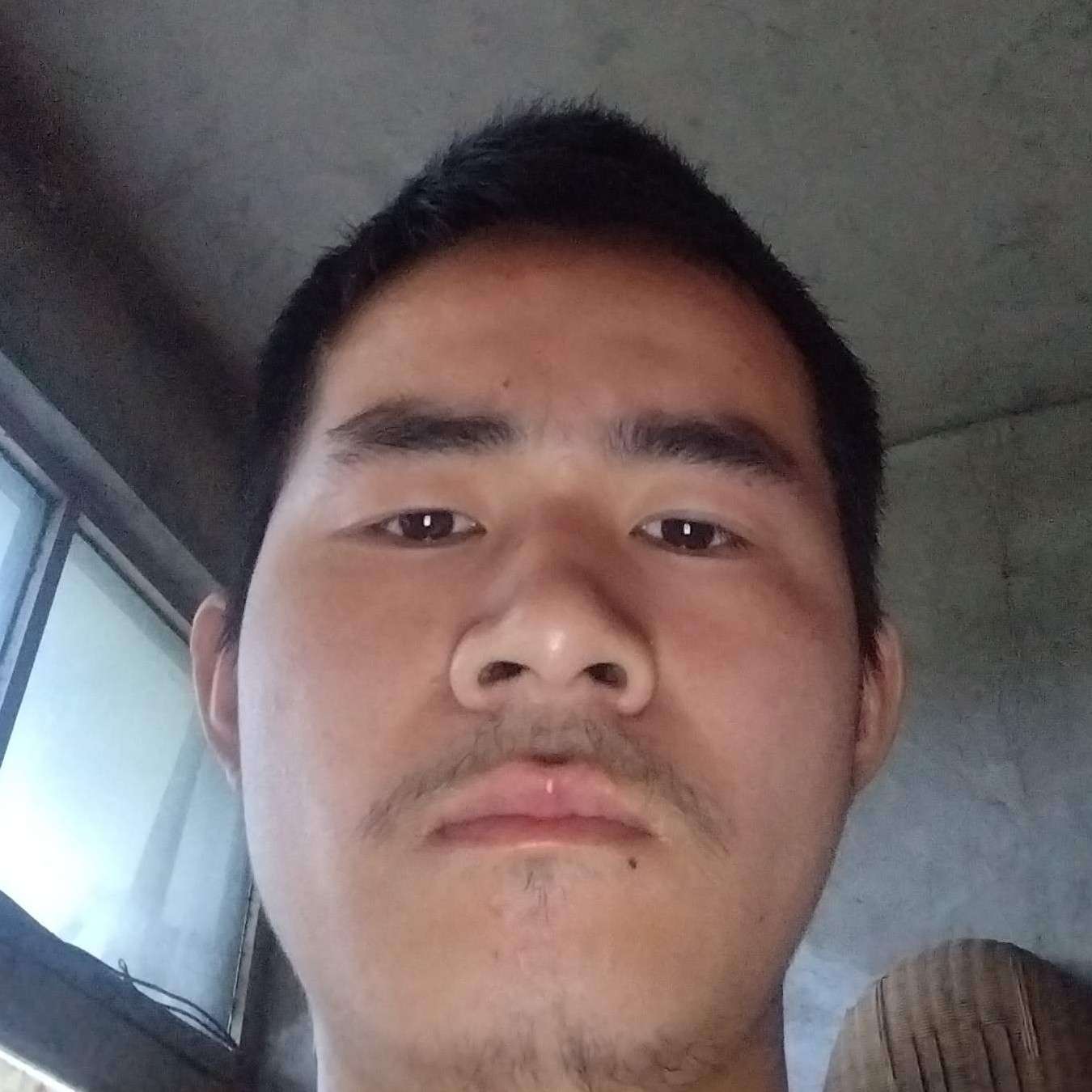 神经质de拉里的照片