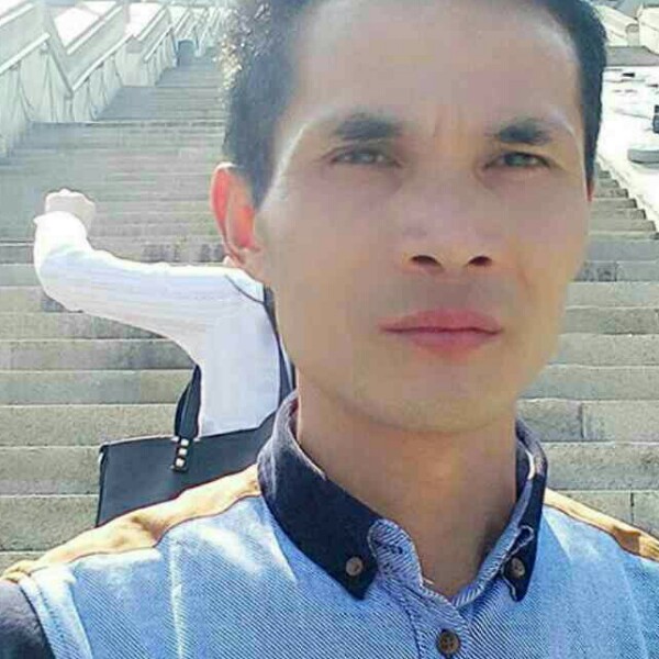 不解的纸鹤的照片