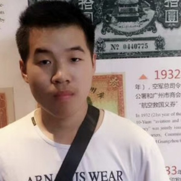蚂蚁的动人的照片