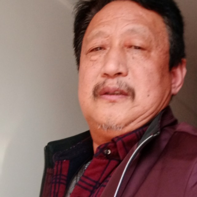鱼稳重的照片