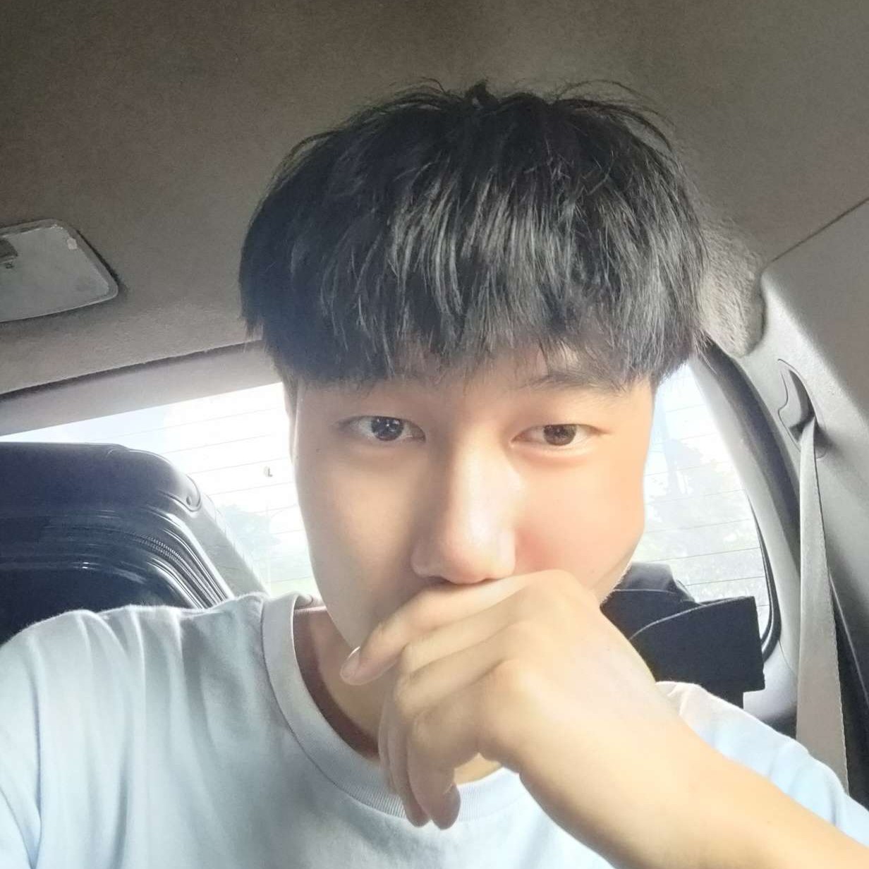 翩飞还小松鼠的照片
