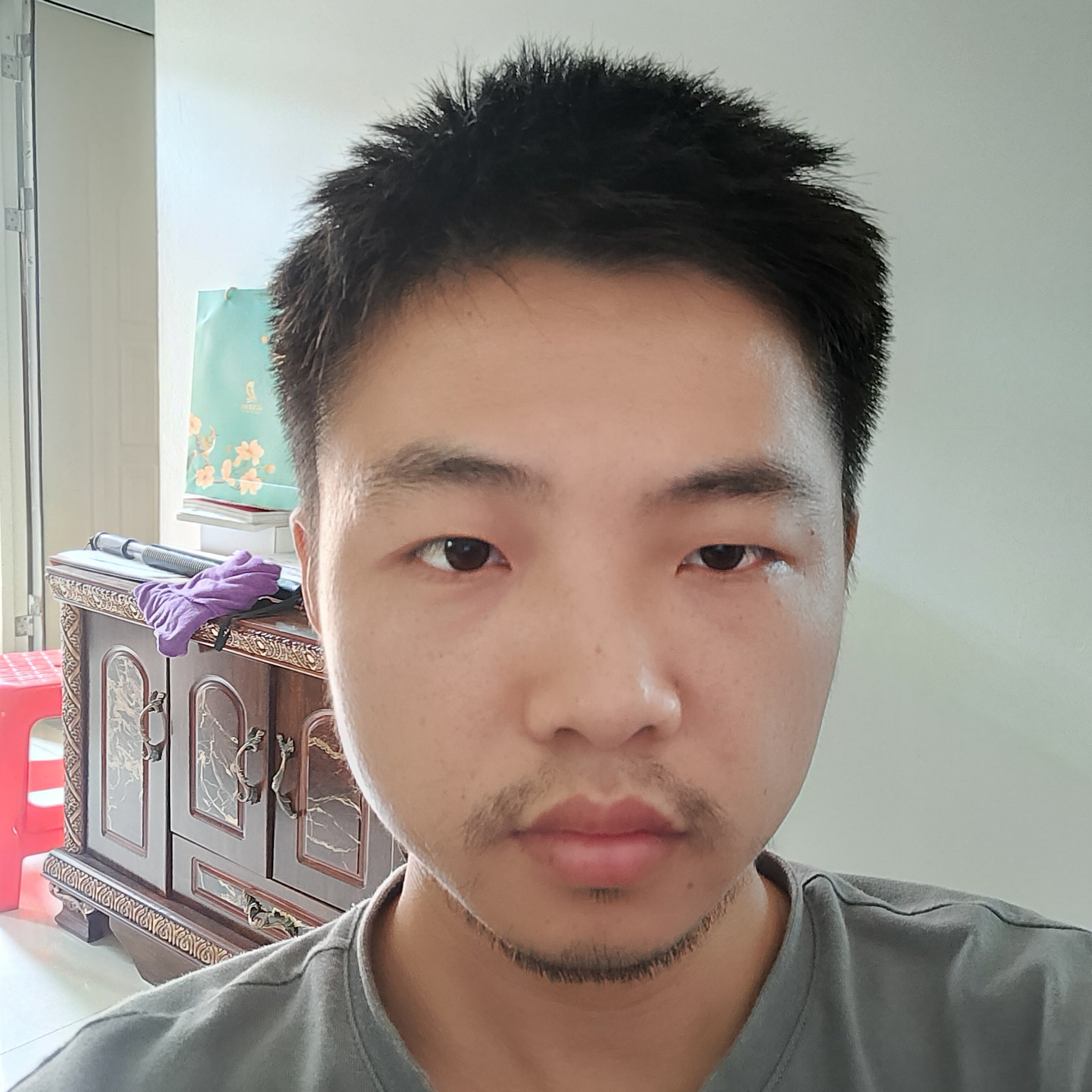 会跑的乌龟123的照片