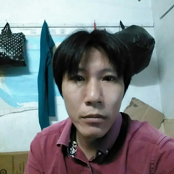 黄杏的照片