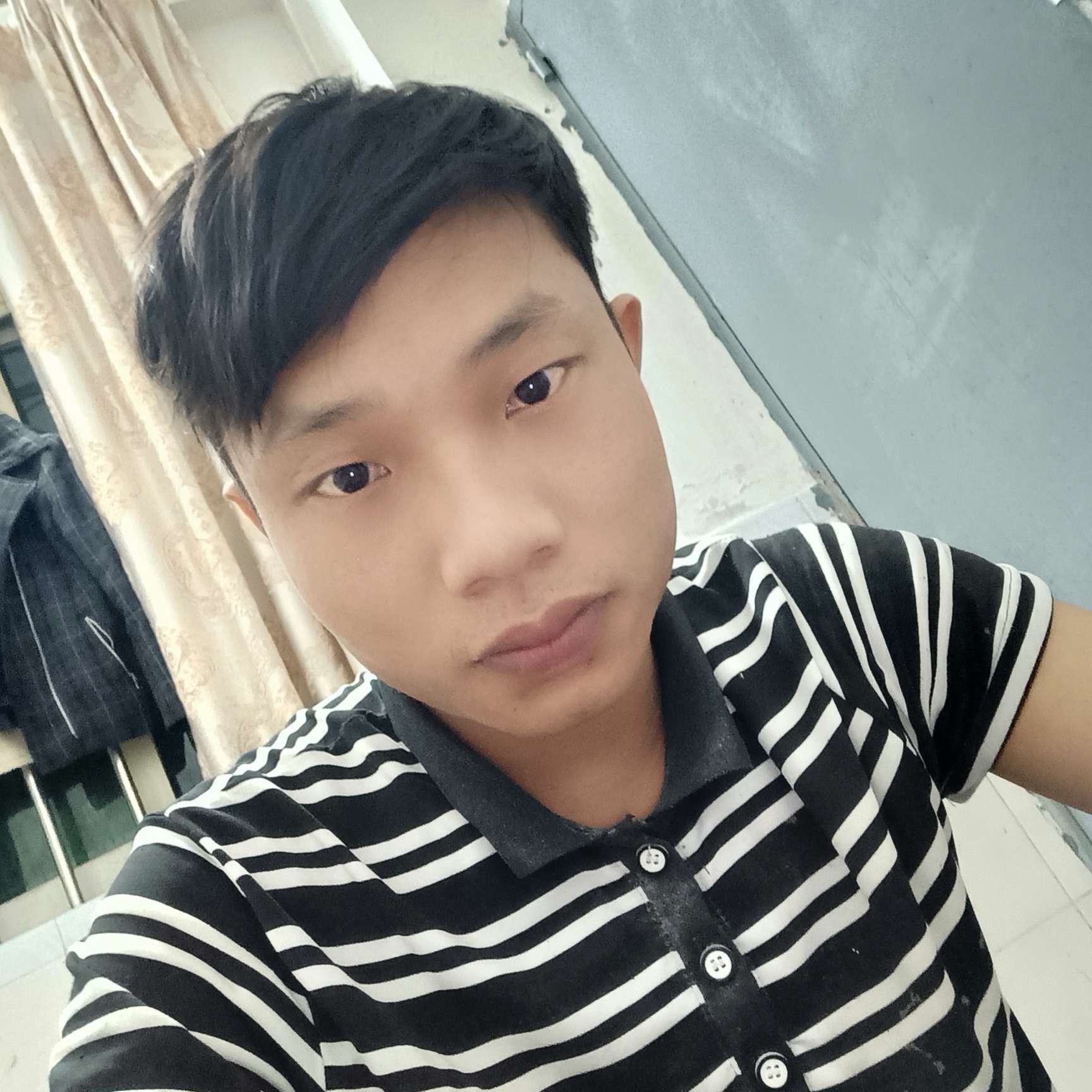 难以忘怀de梧桐照片