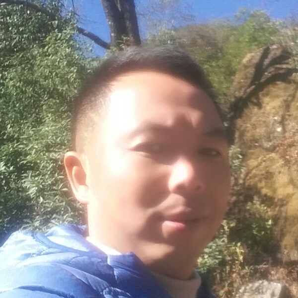 搞怪保卫猎豹的照片