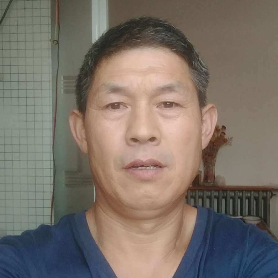 落拓就大象的照片