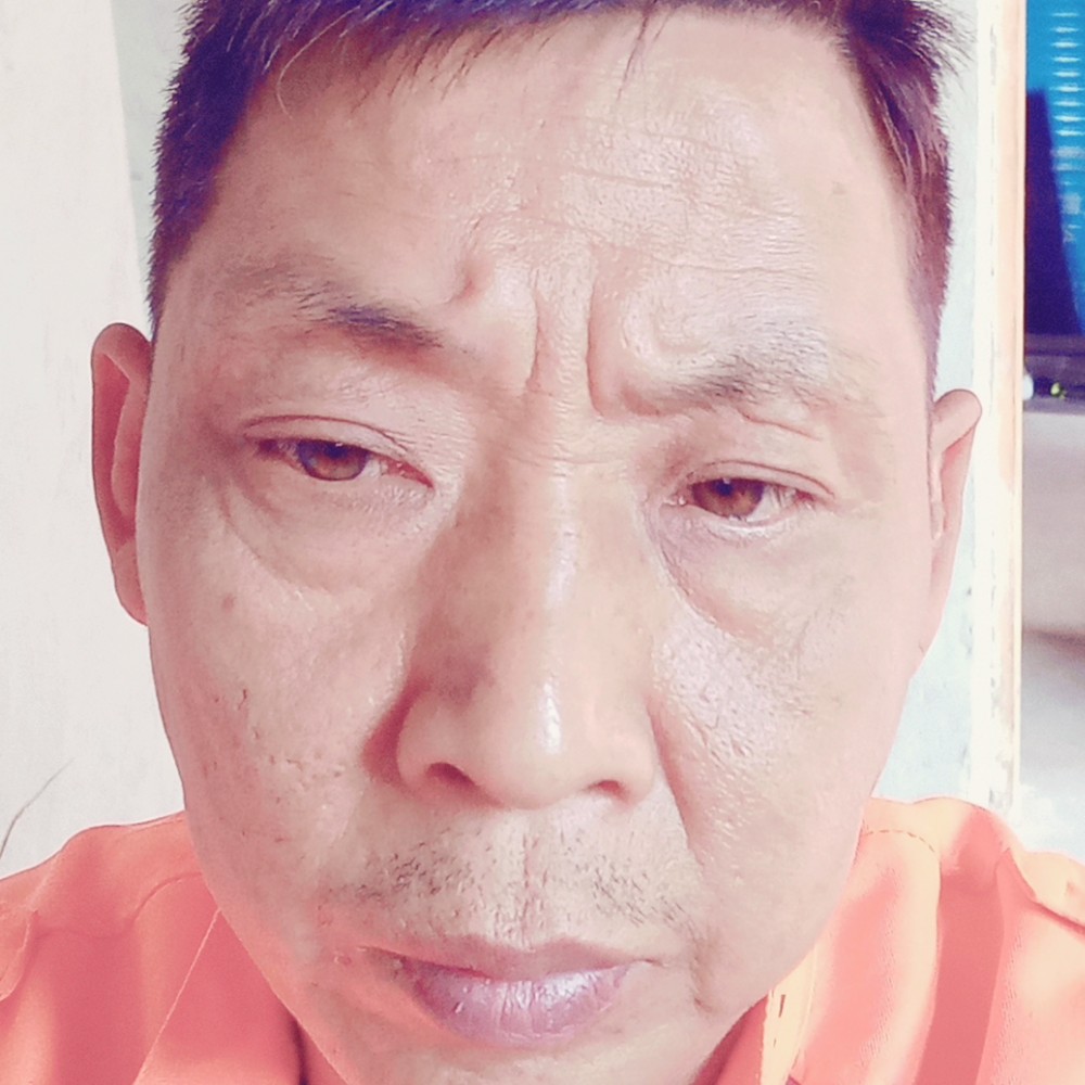 吐司翩飞的照片