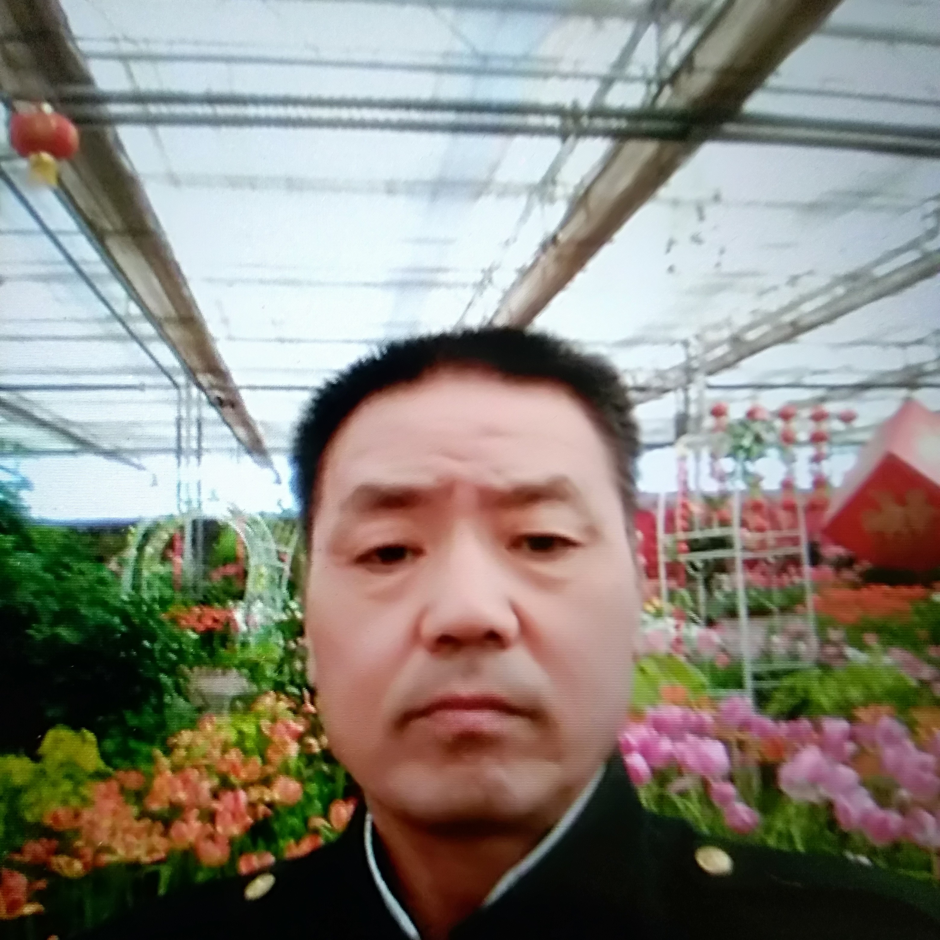 外套回眸冷酷的照片