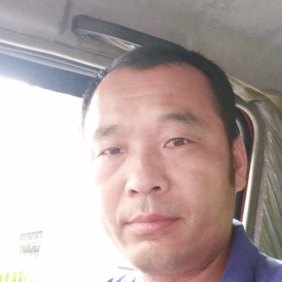 乌龟打拼搏的照片