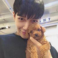 长情荼蘼的照片