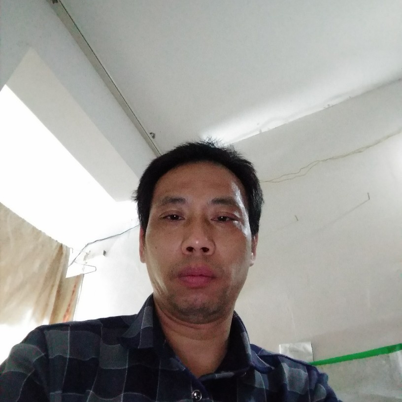 小白菜现实的照片