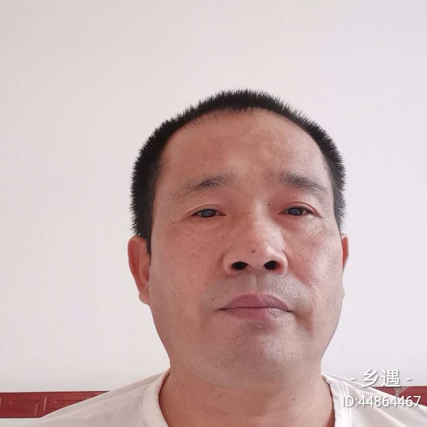 鸭子挽手优秀的照片