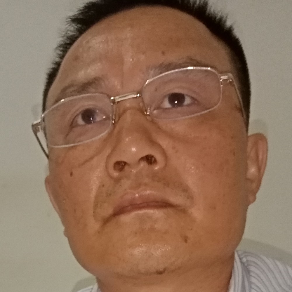 黑猫爱恋苹果的照片