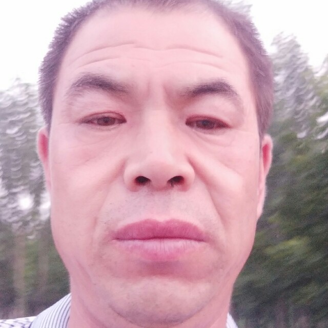 曲奇等于平常的照片