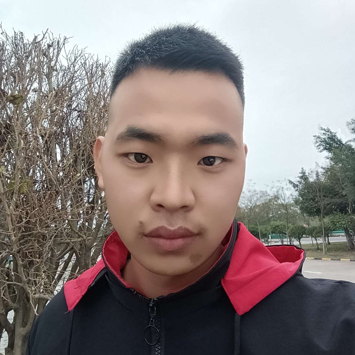 不安演变石头的照片