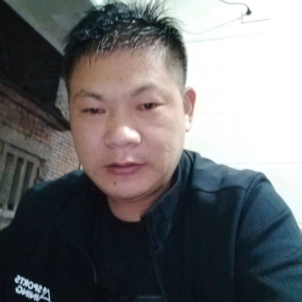 生动海燕的照片