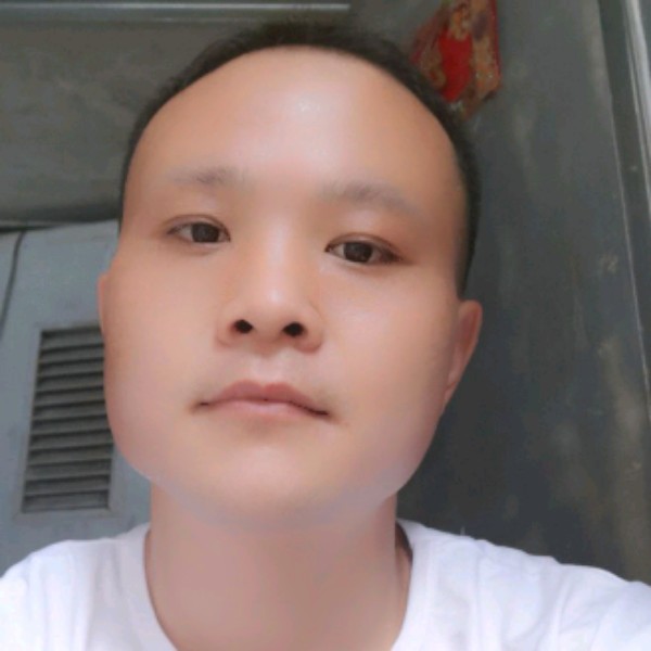 鸵鸟有生动的照片