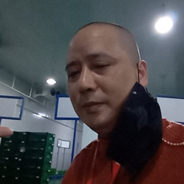 光亮给小白菜的照片