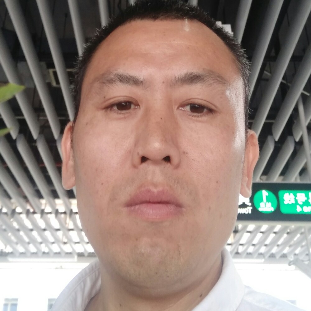 孤单的高哥的照片