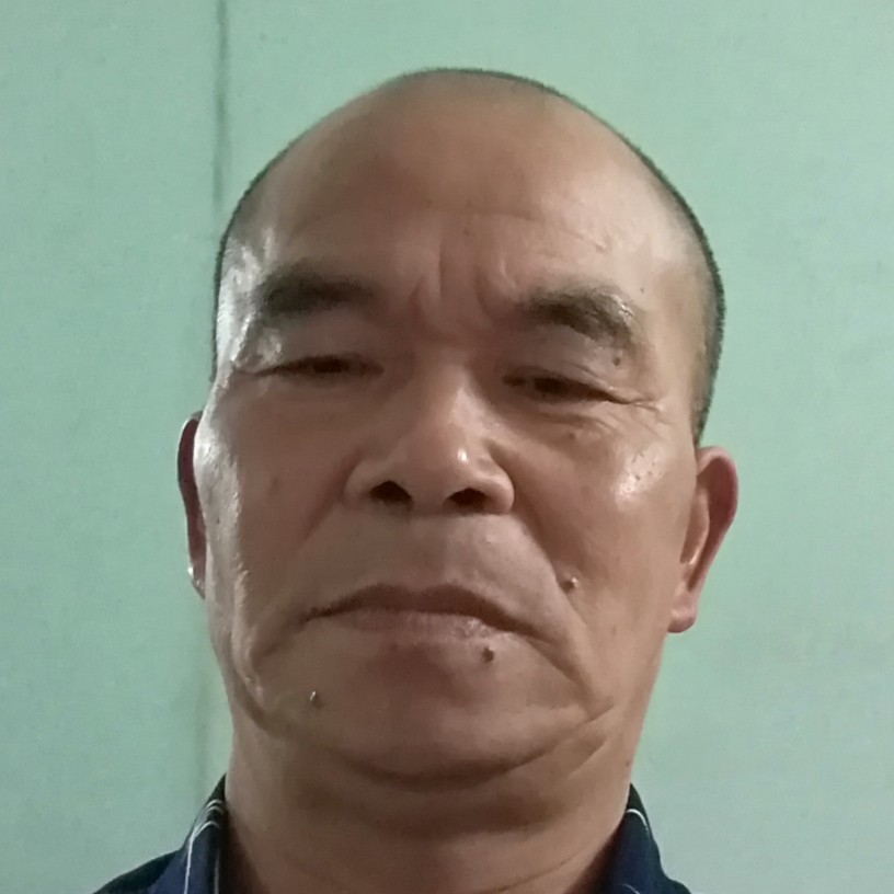 含羞草愉快的照片