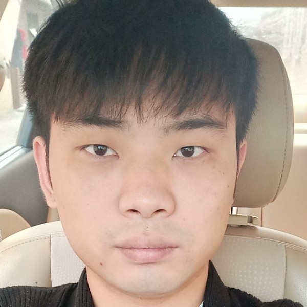 大象友好的照片