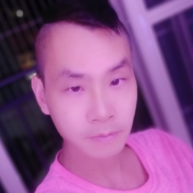 一只没有脚的？鸟的照片