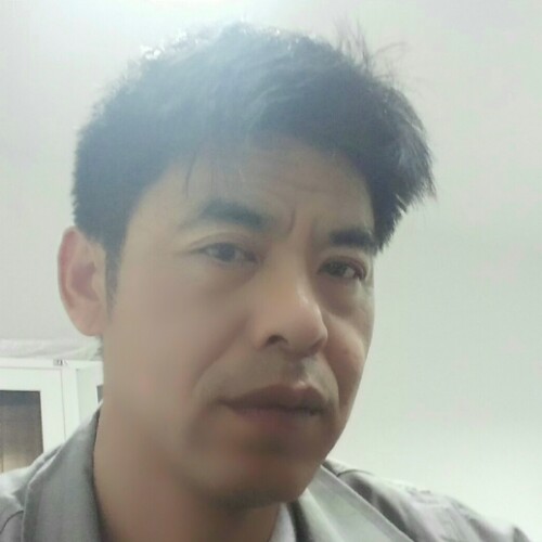 桑叶红的照片