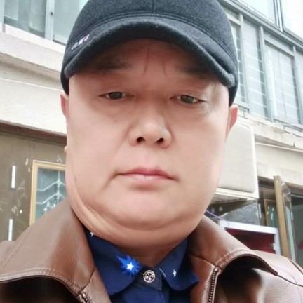 孤雁独自。的照片